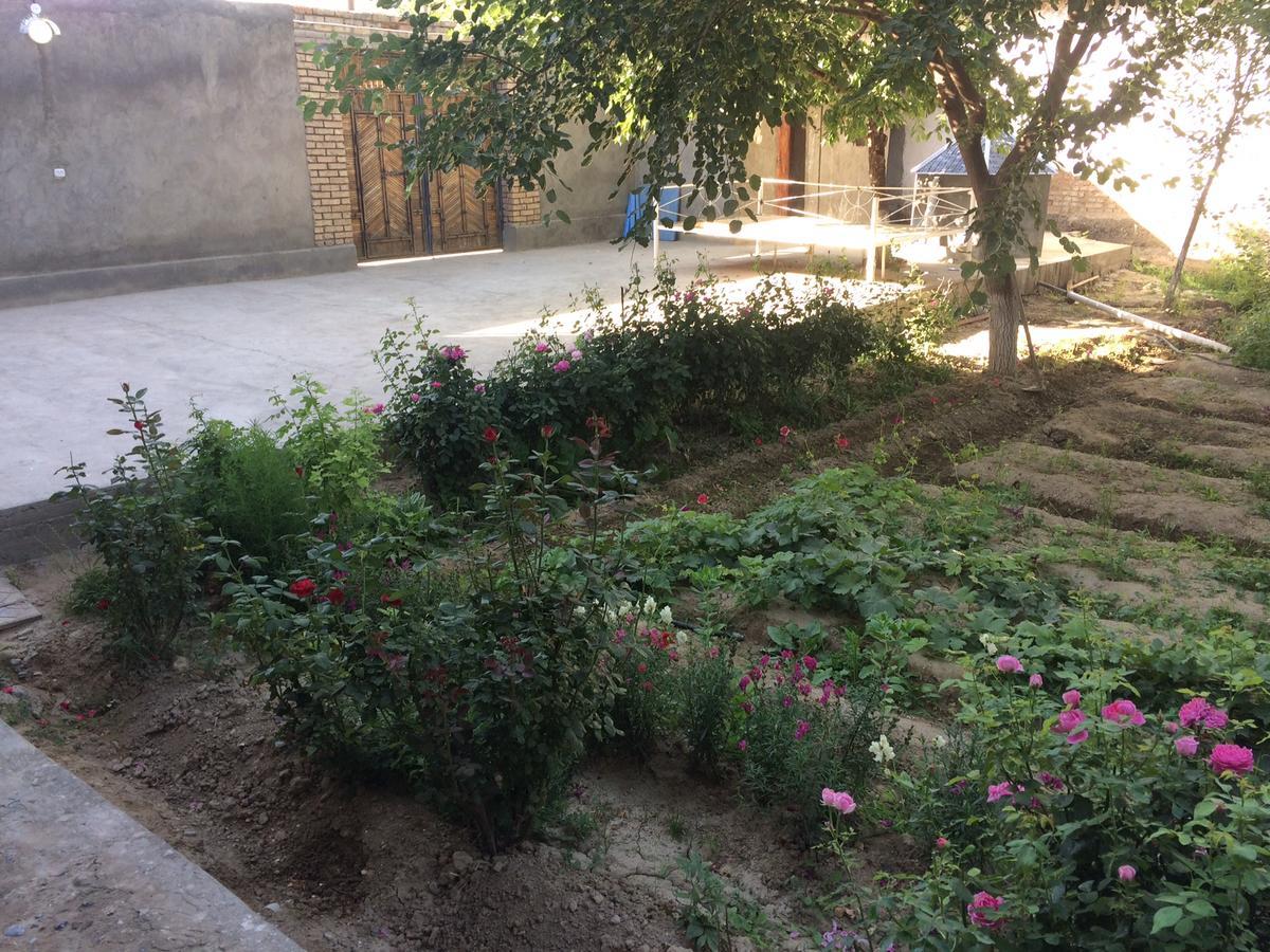 Salom Hostel Panjakent Dış mekan fotoğraf