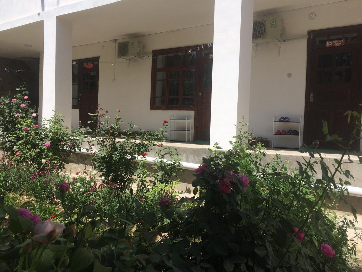 Salom Hostel Panjakent Dış mekan fotoğraf